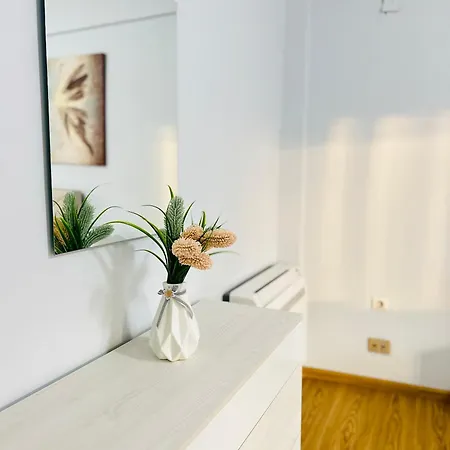 Duplex Apartment-balcony-city Center -7 Guests דירה